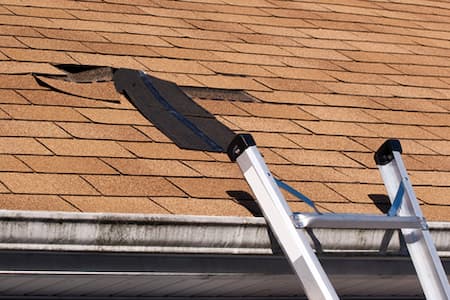Roof Maintenance